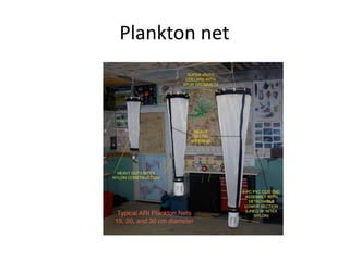 Plankton net
 