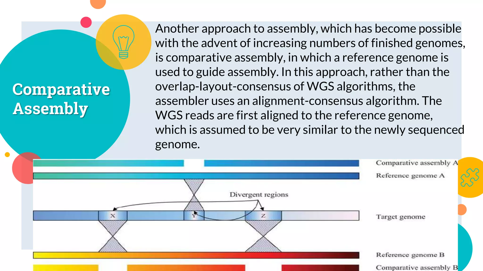 Comparative
Assembly
Another approach to assembly, which has become possible
with the advent of increasing numbers of finished genomes,
is comparative assembly, in which a reference genome is
used to guide assembly. In this approach, rather than the
overlap-layout-consensus of WGS algorithms, the
assembler uses an alignment-consensus algorithm. The
WGS reads are first aligned to the reference genome,
which is assumed to be very similar to the newly sequenced
genome.
 