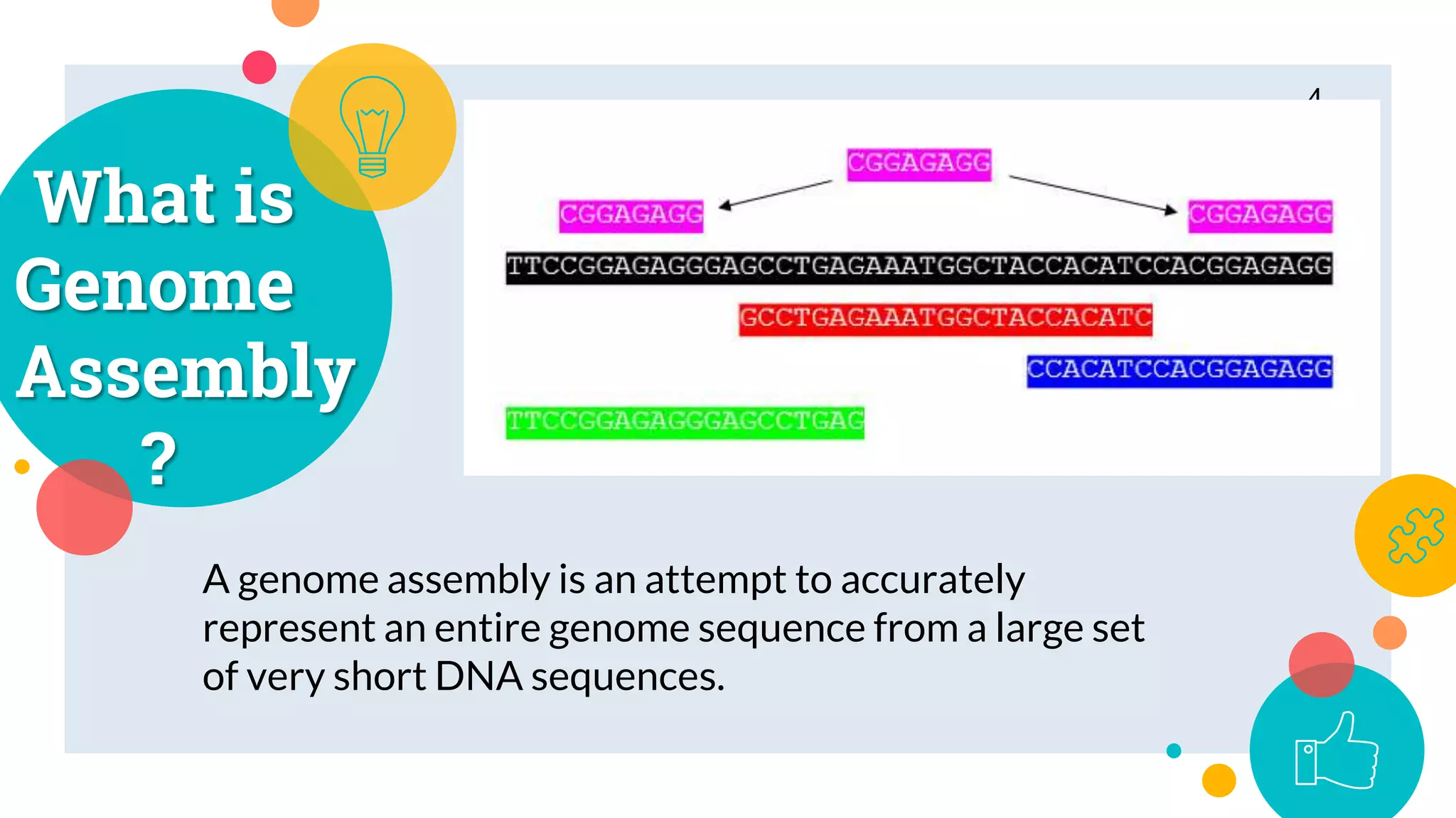 What is
Genome
Assembly
?
4
A genome assembly is an attempt to accurately
represent an entire genome sequence from a large set
of very short DNA sequences.
 