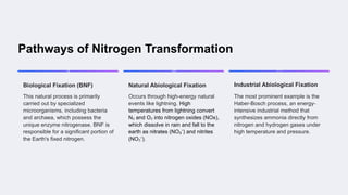 Biological nitrogen fixation Bio-inorganic .pptx