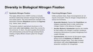 Biological nitrogen fixation Bio-inorganic .pptx