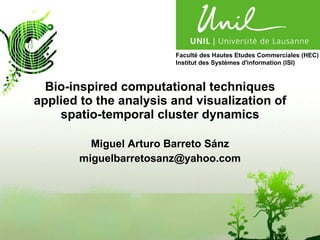 Bio-inspired computational techniques applied to the analysis and visualization of spatio-temporal cluster dynamics Miguel Arturo Barreto Sánz [email_address] Faculté des Hautes Etudes Commerciales (HEC) Institut des Systèmes d'information (ISI) 