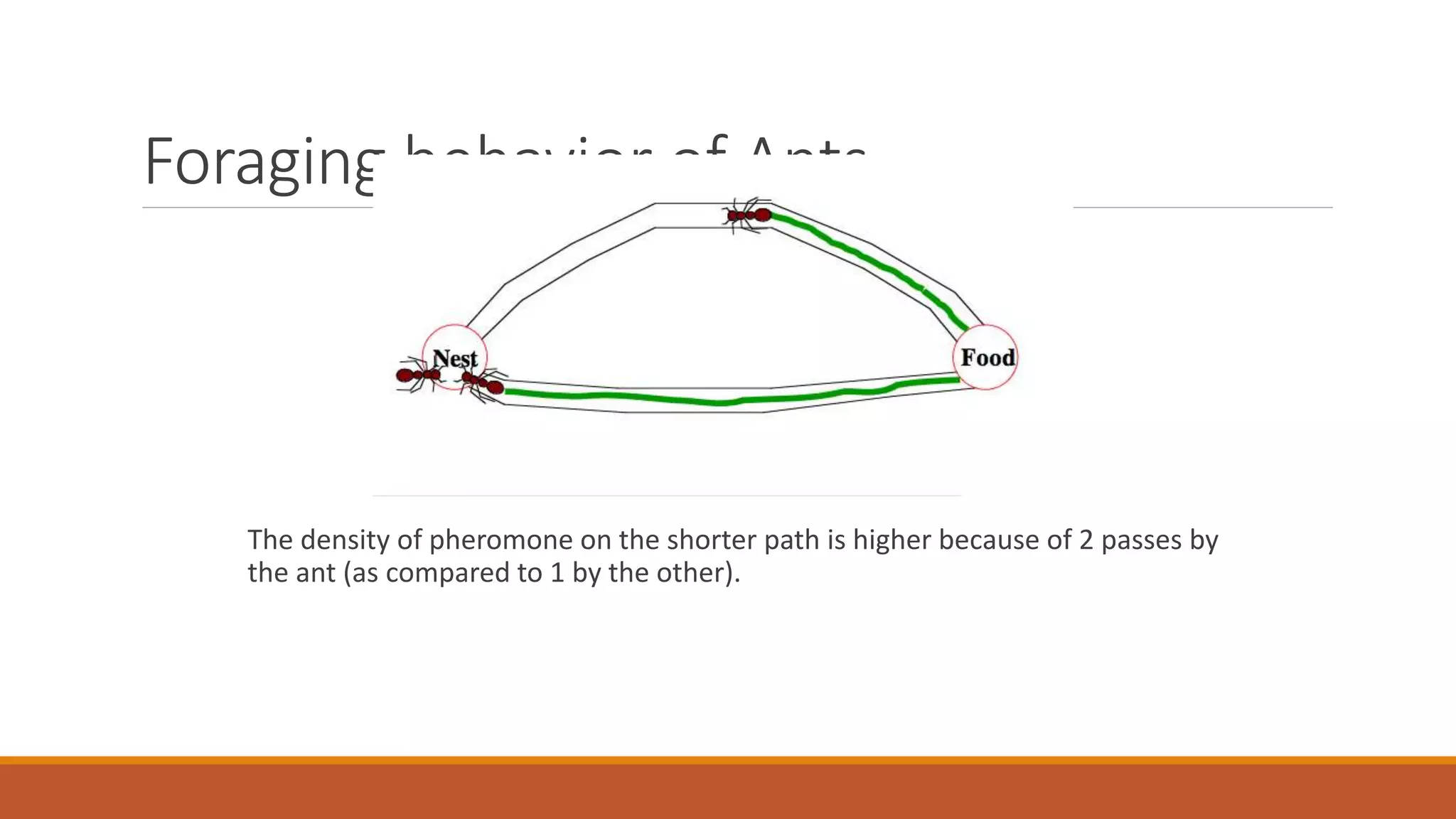 Foraging behavior of Ants
The density of pheromone on the shorter path is higher because of 2 passes by
the ant (as compared to 1 by the other).
 