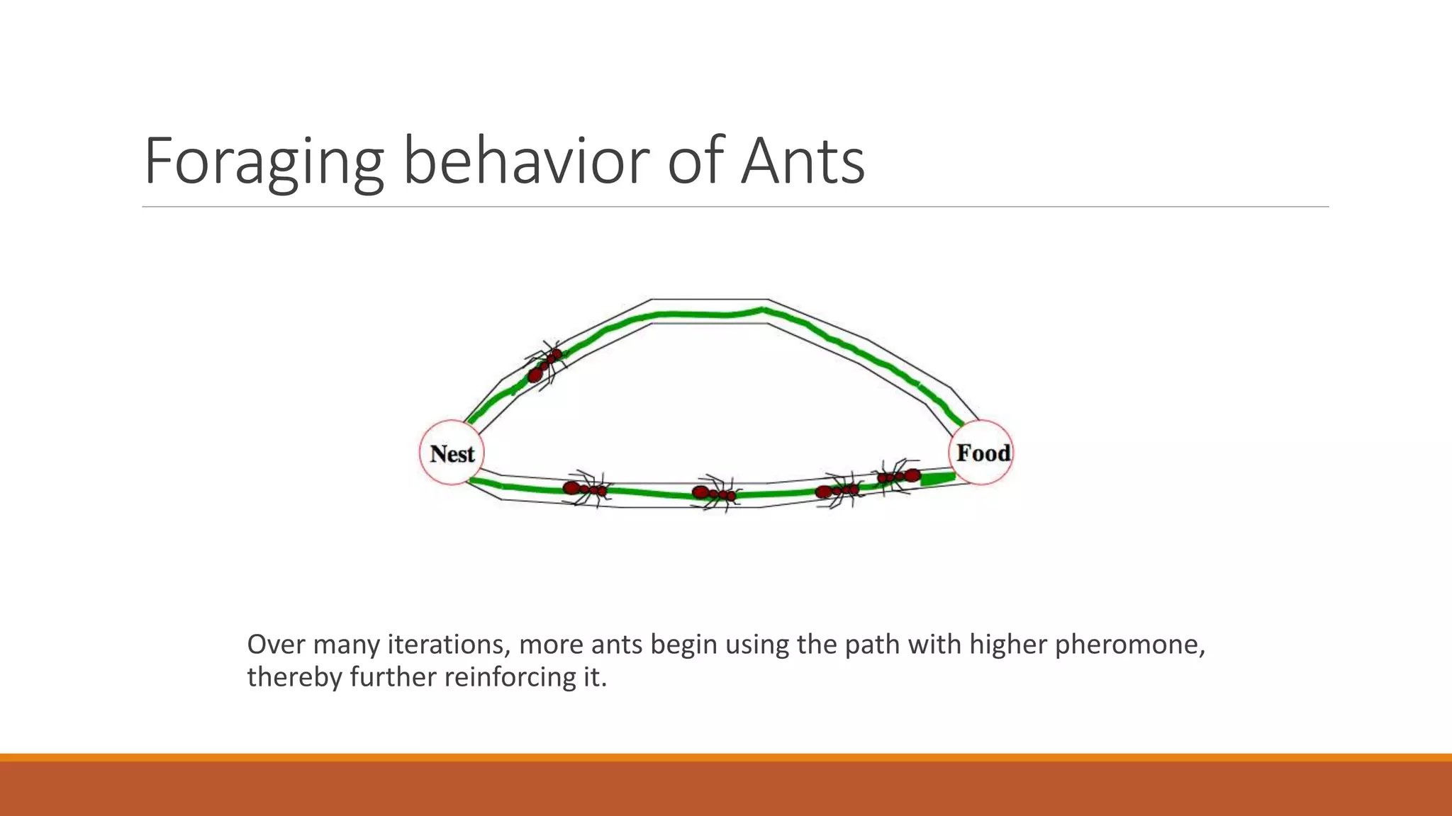 Foraging behavior of Ants
Over many iterations, more ants begin using the path with higher pheromone,
thereby further reinforcing it.
 