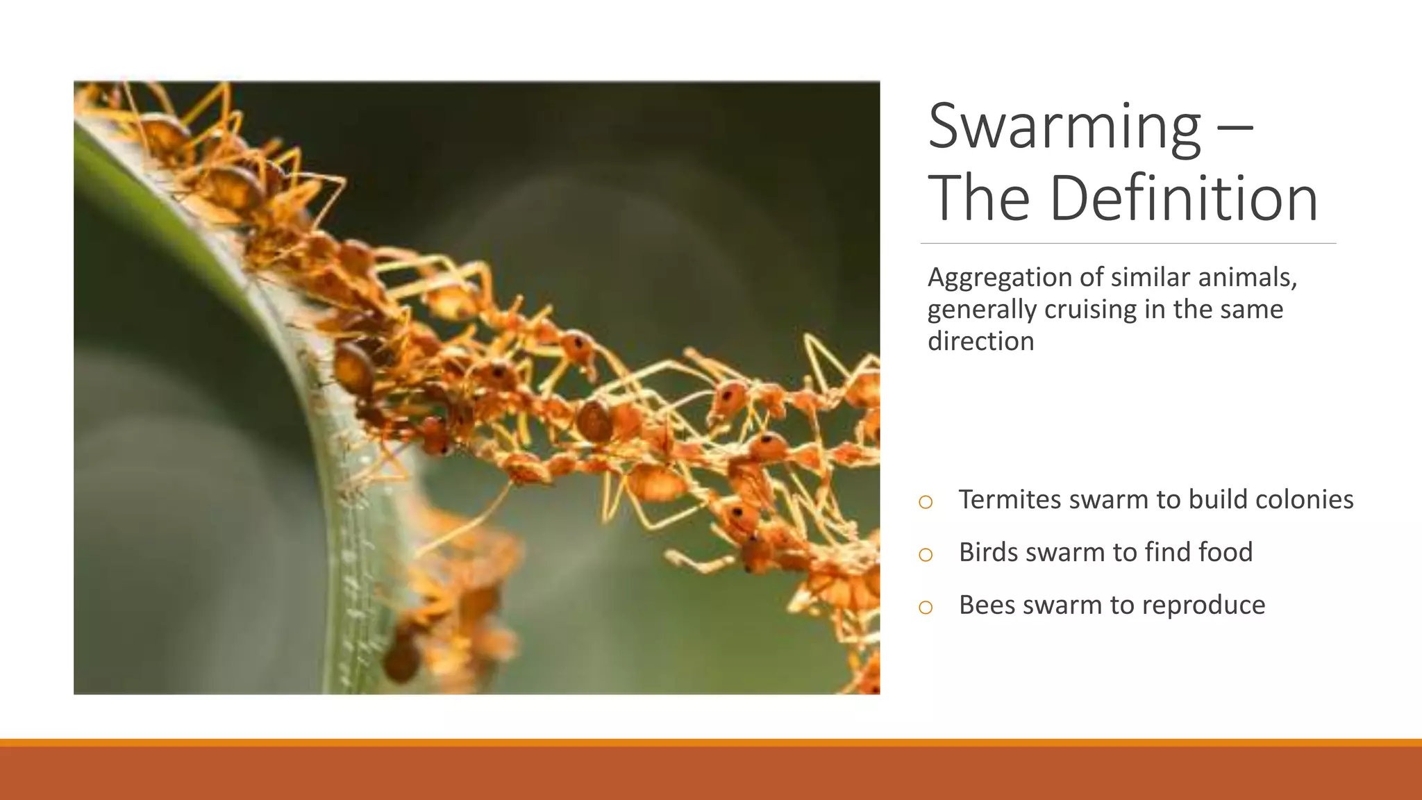 Swarming –
The Definition
Aggregation of similar animals,
generally cruising in the same
direction
o Termites swarm to build colonies
o Birds swarm to find food
o Bees swarm to reproduce
 