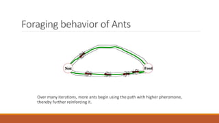 Foraging behavior of Ants
Over many iterations, more ants begin using the path with higher pheromone,
thereby further reinforcing it.
 