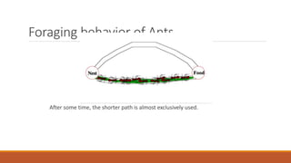 Foraging behavior of Ants
After some time, the shorter path is almost exclusively used.
 