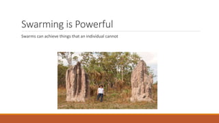 Swarming is Powerful
Swarms can achieve things that an individual cannot
 