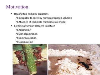 Motivation
 Dealing too complex problems
Incapable to solve by human proposed solution
Absence of complete mathematical model
 Existing of similar problem in nature
Adaptation
Self-organization
Communication
Optimization
 