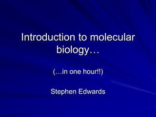Introduction to molecular
biology…
(…in one hour!!)
Stephen Edwards
 