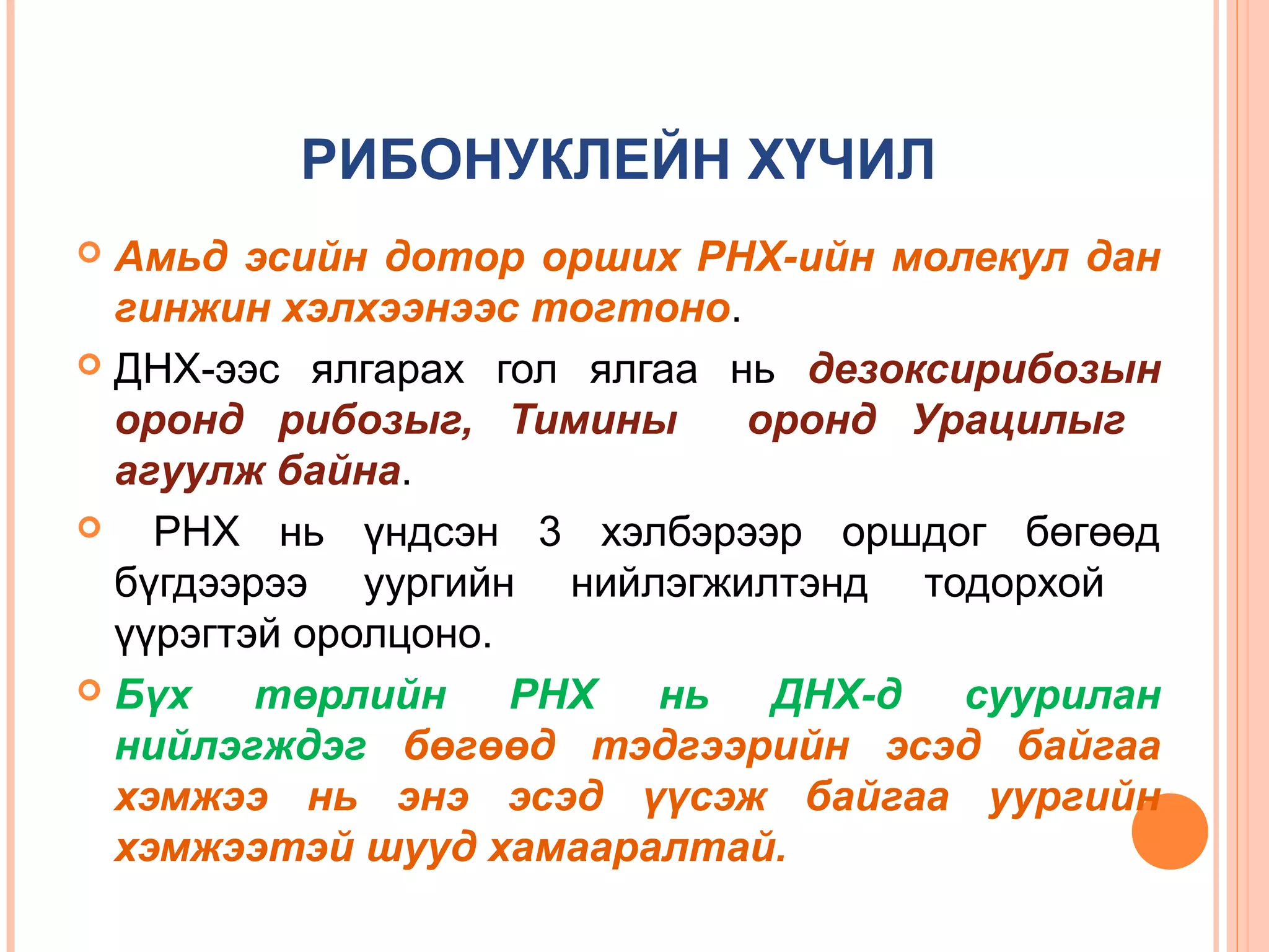 РИБОНУКЛЕЙН ХҮЧИЛ
Амьд эсийн дотор орших РНХ-ийн молекул дан
гинжин хэлхээнээс тогтоно.
 ДНХ-ээс ялгарах гол ялгаа нь дезоксирибозын
оронд рибозыг, Тимины
оронд Урацилыг
агуулж байна.

РНХ нь үндсэн 3 хэлбэрээр оршдог бөгөөд
бүгдээрээ уургийн нийлэгжилтэнд тодорхой
үүрэгтэй оролцоно.
 Бүх
төрлийн РНХ нь ДНХ-д суурилан
нийлэгждэг бөгөөд тэдгээрийн эсэд байгаа
хэмжээ нь энэ эсэд үүсэж байгаа уургийн
хэмжээтэй шууд хамааралтай.


 
