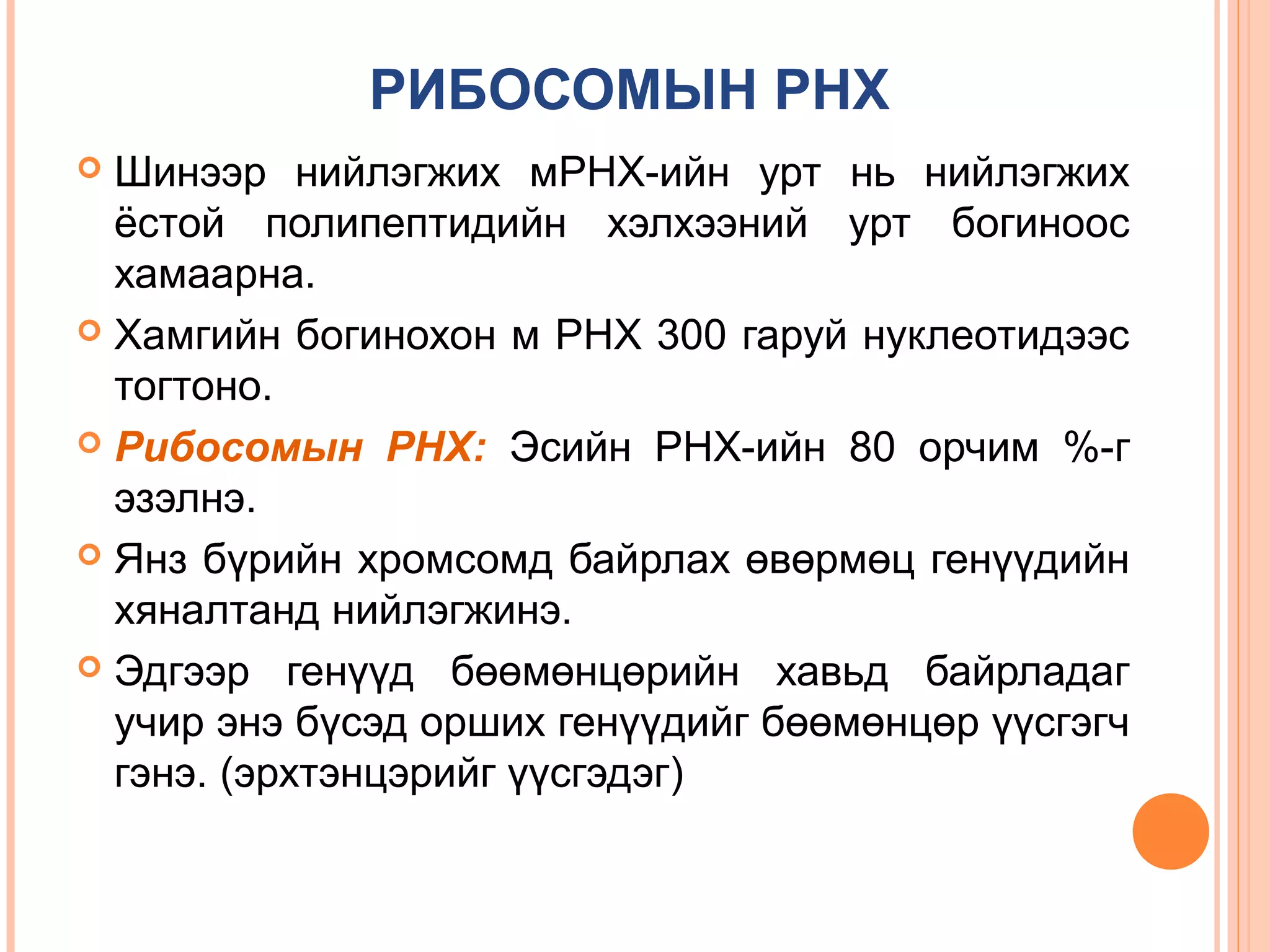 РИБОСОМЫН РНХ
Шинээр нийлэгжих мРНХ-ийн урт нь нийлэгжих
ёстой полипептидийн хэлхээний урт богиноос
хамаарна.
 Хамгийн богинохон м РНХ 300 гаруй нуклеотидээс
тогтоно.
 Рибосомын РНХ: Эсийн РНХ-ийн 80 орчим %-г
эзэлнэ.
 Янз бүрийн хромсомд байрлах өвөрмөц генүүдийн
хяналтанд нийлэгжинэ.
 Эдгээр генүүд бөөмөнцөрийн хавьд байрладаг
учир энэ бүсэд орших генүүдийг бөөмөнцөр үүсгэгч
гэнэ. (эрхтэнцэрийг үүсгэдэг)


 