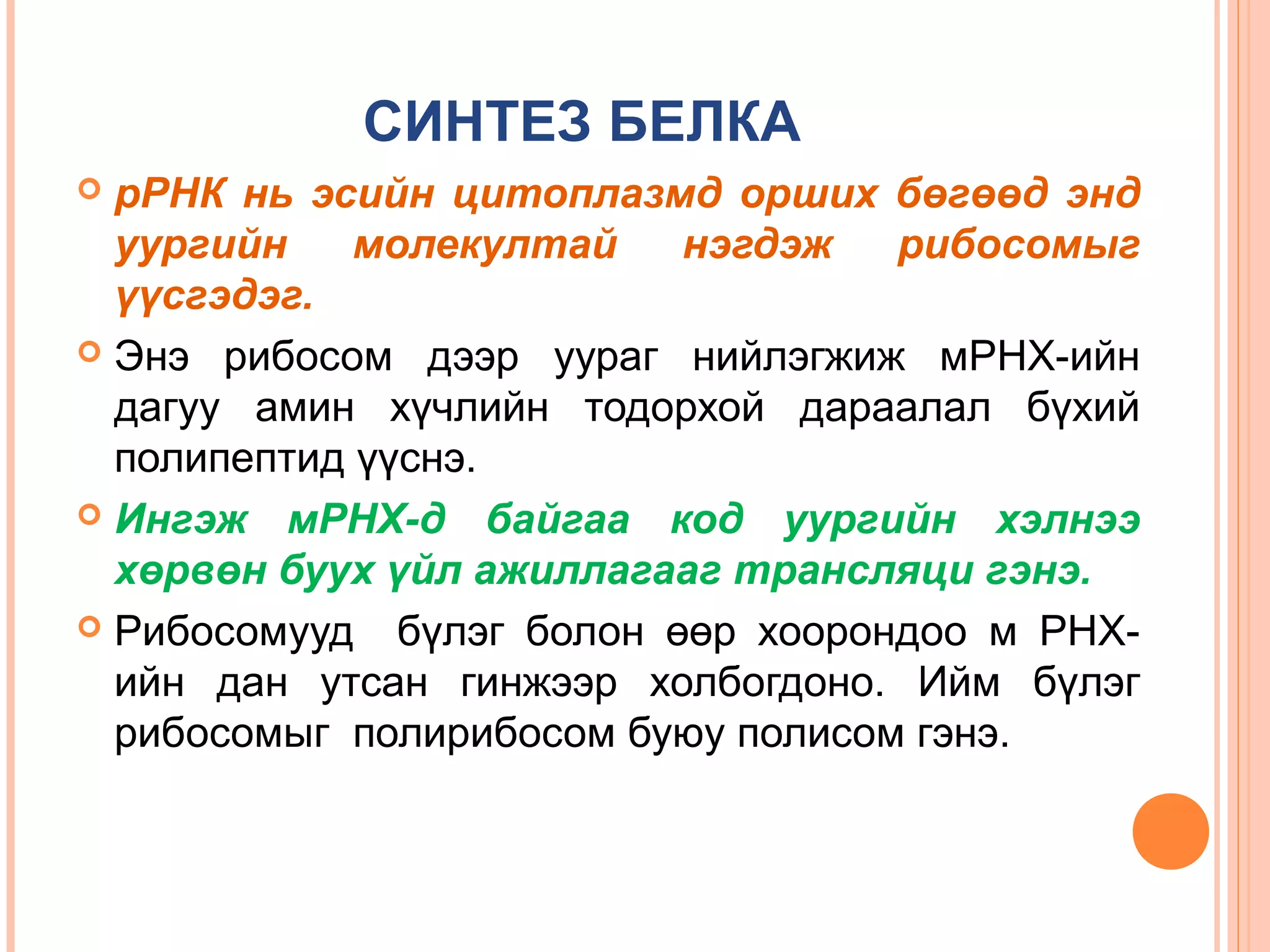 СИНТЕЗ БЕЛКА
рРНК нь эсийн цитоплазмд орших бөгөөд энд
уургийн
молекултай
нэгдэж
рибосомыг
үүсгэдэг.
 Энэ рибосом дээр уураг нийлэгжиж мРНХ-ийн
дагуу амин хүчлийн тодорхой дараалал бүхий
полипептид үүснэ.
 Ингэж мРНХ-д байгаа код уургийн хэлнээ
хөрвөн буух үйл ажиллагааг трансляци гэнэ.
 Рибосомууд бүлэг болон өөр хоорондоо м РНХийн дан утсан гинжээр холбогдоно. Ийм бүлэг
рибосомыг полирибосом буюу полисом гэнэ.


 