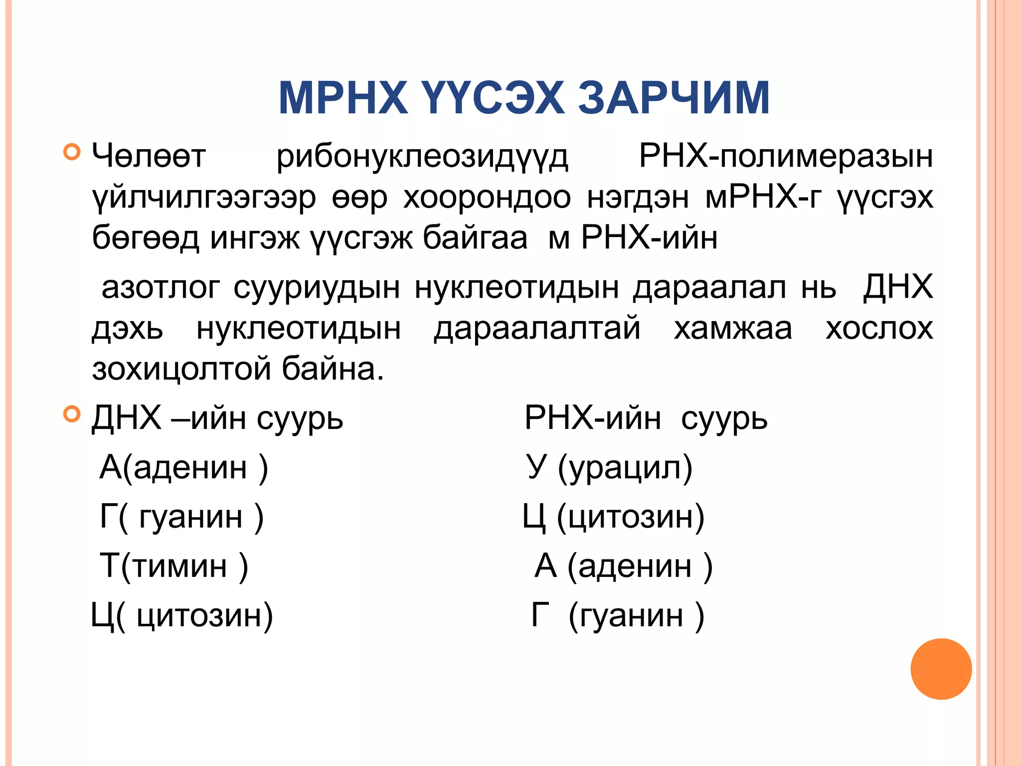 МРНХ ҮҮСЭХ ЗАРЧИМ
Чөлөөт
рибонуклеозидүүд
РНХ-полимеразын
үйлчилгээгээр өөр хоорондоо нэгдэн мРНХ-г үүсгэх
бөгөөд ингэж үүсгэж байгаа м РНХ-ийн
азотлог сууриудын нуклеотидын дараалал нь ДНХ
дэхь нуклеотидын дараалалтай хамжаа хослох
зохицолтой байна.
 ДНХ –ийн суурь
РНХ-ийн суурь
А(аденин )
У (урацил)
Г( гуанин )
Ц (цитозин)
Т(тимин )
А (аденин )
Ц( цитозин)
Г (гуанин )


 