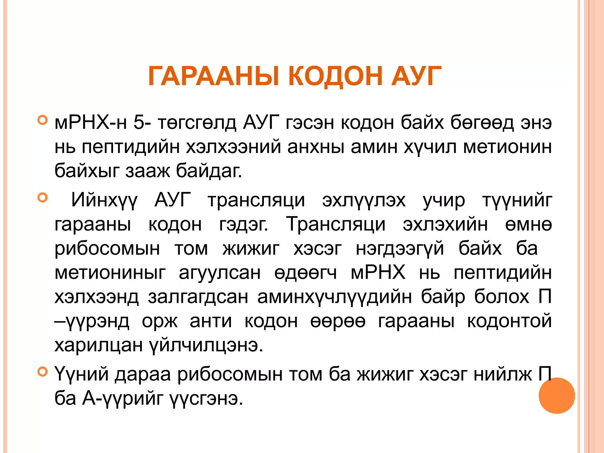 ГАРААНЫ КОДОН АУГ
мРНХ-н 5- төгсгөлд АУГ гэсэн кодон байх бөгөөд энэ
нь пептидийн хэлхээний анхны амин хүчил метионин
байхыг зааж байдаг.

Ийнхүү АУГ трансляци эхлүүлэх учир түүнийг
гарааны кодон гэдэг. Трансляци эхлэхийн өмнө
рибосомын том жижиг хэсэг нэгдээгүй байх ба
метиониныг агуулсан өдөөгч мРНХ нь пептидийн
хэлхээнд залгагдсан аминхүчлүүдийн байр болох П
–үүрэнд орж анти кодон өөрөө гарааны кодонтой
харилцан үйлчилцэнэ.
 Үүний дараа рибосомын том ба жижиг хэсэг нийлж П
ба А-үүрийг үүсгэнэ.


 