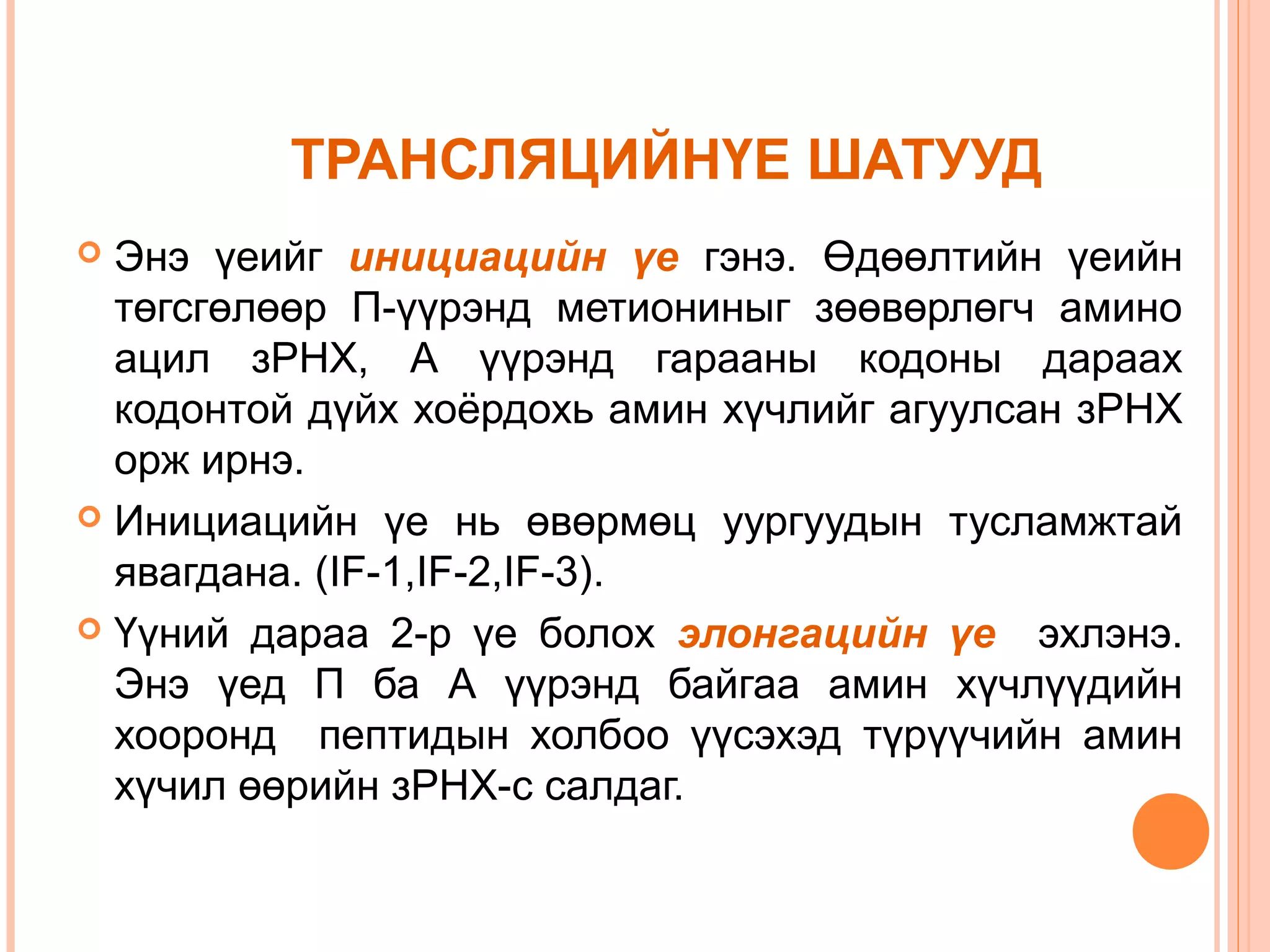 ТРАНСЛЯЦИЙНҮЕ ШАТУУД
Энэ үеийг инициацийн үе гэнэ. Өдөөлтийн үеийн
төгсгөлөөр П-үүрэнд метиониныг зөөвөрлөгч амино
ацил зРНХ, А үүрэнд гарааны кодоны дараах
кодонтой дүйх хоёрдохь амин хүчлийг агуулсан зРНХ
орж ирнэ.
 Инициацийн үе нь өвөрмөц уургуудын тусламжтай
явагдана. (IF-1,IF-2,IF-3).
 Үүний дараа 2-р үе болох элонгацийн үе эхлэнэ.
Энэ үед П ба А үүрэнд байгаа амин хүчлүүдийн
хооронд пептидын холбоо үүсэхэд түрүүчийн амин
хүчил өөрийн зРНХ-с салдаг.


 