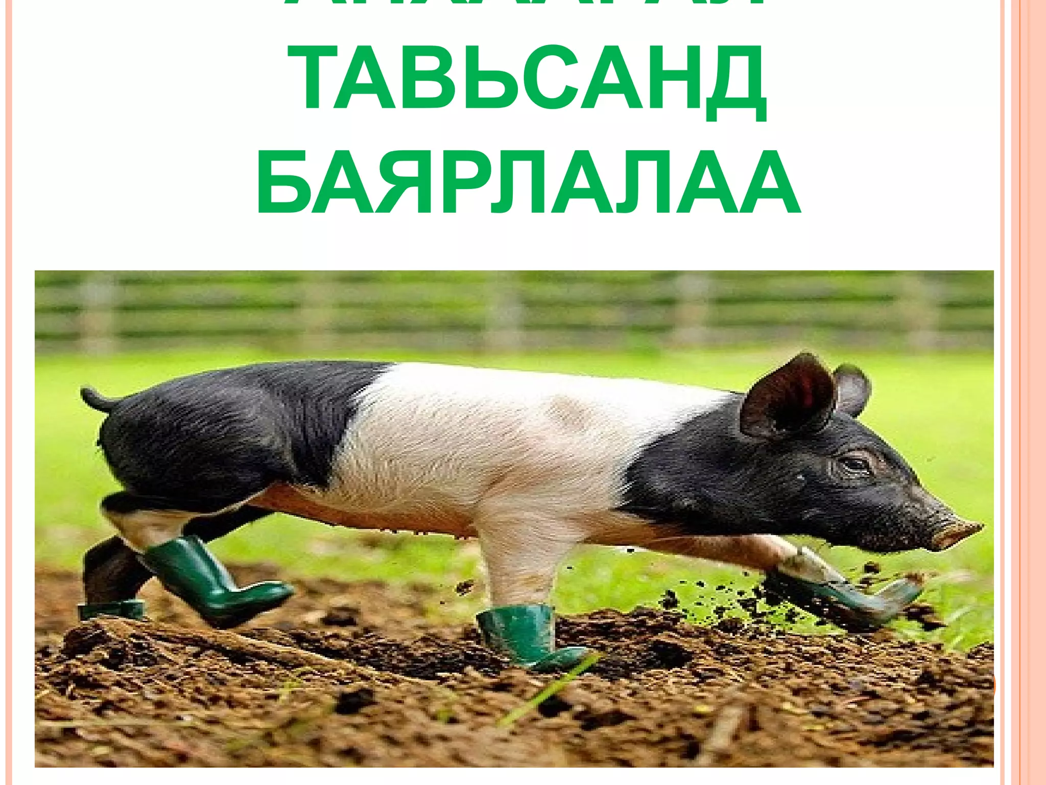 АНХААРАЛ
ТАВЬСАНД
БАЯРЛАЛАА

 