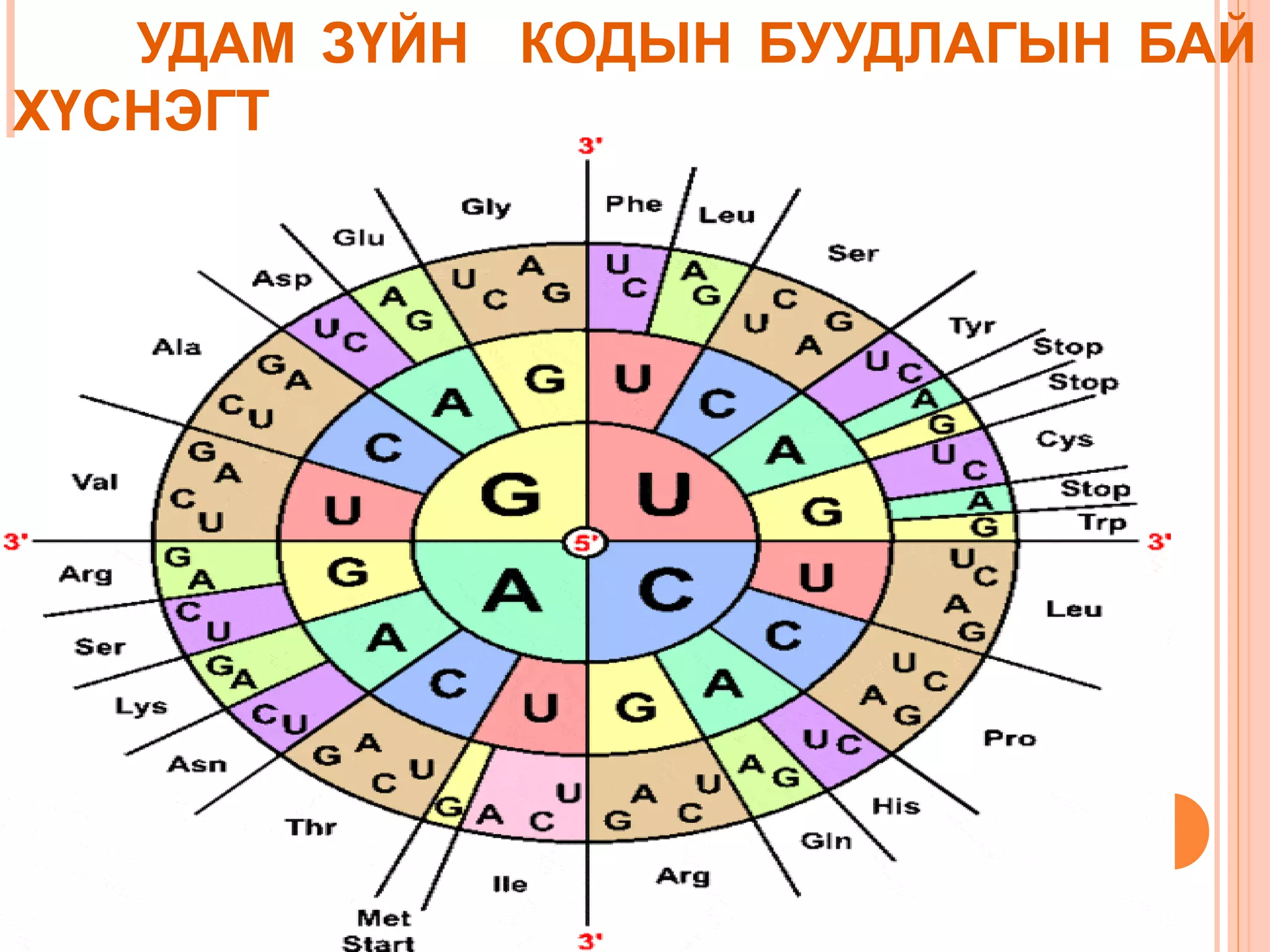 УДАМ ЗҮЙН КОДЫН БУУДЛАГЫН БАЙ
ХҮСНЭГТ

 