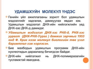 УДАМШХУЙН МОЛЕКУЛ ҮНДЭС
Генийн үйл ажиллагааны зорилт бол удамшлын
мэдээллийг хадгалах, дамжуулах явдал юм.
Удамшлын мэдээлэл ДНХ-ийн нийлэгжлийн үед
ДНХ-ээс ДНХ-д дамждаг.
 Удамшлын мэдээлэл ДНХ-ээс РНХ-д, РНХ-ээс
уурагт (ДНХ-РНХ-Уураг ) дамжих зарчмыг 1953
онд Ф. Крик нээж молекул биологийн төв үзэл
баримтлал гэж нэрлэсэн.
 Бие
махбодын удамшлын программ ДНХ-ийн
нуклеотидын дараалалд бичигдсэн байдаг.
 ДНХ-ийн
нийлэгжил нь ДНХ-полимеразагийн
тусламжтай явагдана.


 