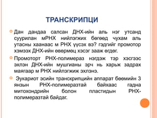 Bio l 6 | PPT