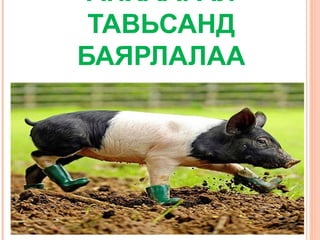 АНХААРАЛ
ТАВЬСАНД
БАЯРЛАЛАА

 