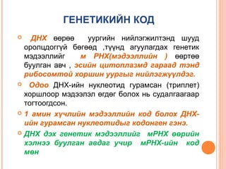 ГЕНЕТИКИЙН КОД
ДНХ өөрөө
уургийн нийлэгжилтэнд шууд
оролцдоггүй бөгөөд ,түүнд агуулагдах генетик
мэдээллийг
м РНХ(мэдээллийн ) өөртөө
буулган авч , эсийн цитоплазмд гараад тэнд
рибосомтой хоршин уургыг нийлэгжүүлдэг.
 Одоо ДНХ-ийн нуклеотид гурамсан (триплет)
хоршлоор мэдээлэл өгдөг болох нь судалгаагаар
тогтоогдсон.
 1 амин хүчлийн мэдээллийн код болох ДНХийн гурамсан нуклеотидыг кодонген гэнэ.
 ДНХ дэх генетик мэдээллийг мРНХ өөрийн
хэлнээ буулган авдаг учир мРНХ-ийн код
мөн


 