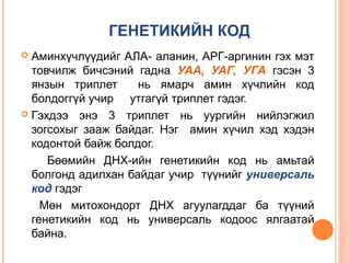 ГЕНЕТИКИЙН КОД
Аминхүчлүүдийг АЛА- аланин, АРГ-аргинин гэх мэт
товчилж бичсэний гадна УАА, УАГ, УГА гэсэн 3
янзын триплет
нь ямарч амин хүчлийн код
болдоггүй учир утгагүй триплет гэдэг.
 Гэхдээ энэ 3 триплет нь уургийн нийлэгжил
зогсохыг зааж байдаг. Нэг амин хүчил хэд хэдэн
кодонтой байж болдог.
Бөөмийн ДНХ-ийн генетикийн код нь амьтай
болгонд адилхан байдаг учир түүнийг универсаль
код гэдэг
Мөн митохондорт ДНХ агуулагддаг ба түүний
генетикийн код нь универсаль кодоос ялгаатай
байна.


 