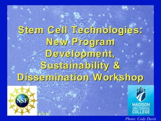 Stem Cell Technologies:Stem Cell Technologies:
New ProgramNew Program
Development,Development,
Sustainability &Sustainability &
Dissemination WorkshopDissemination Workshop
Photo: Cody Davis
 