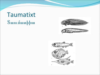 Taumatixt Տաումատիխտ 