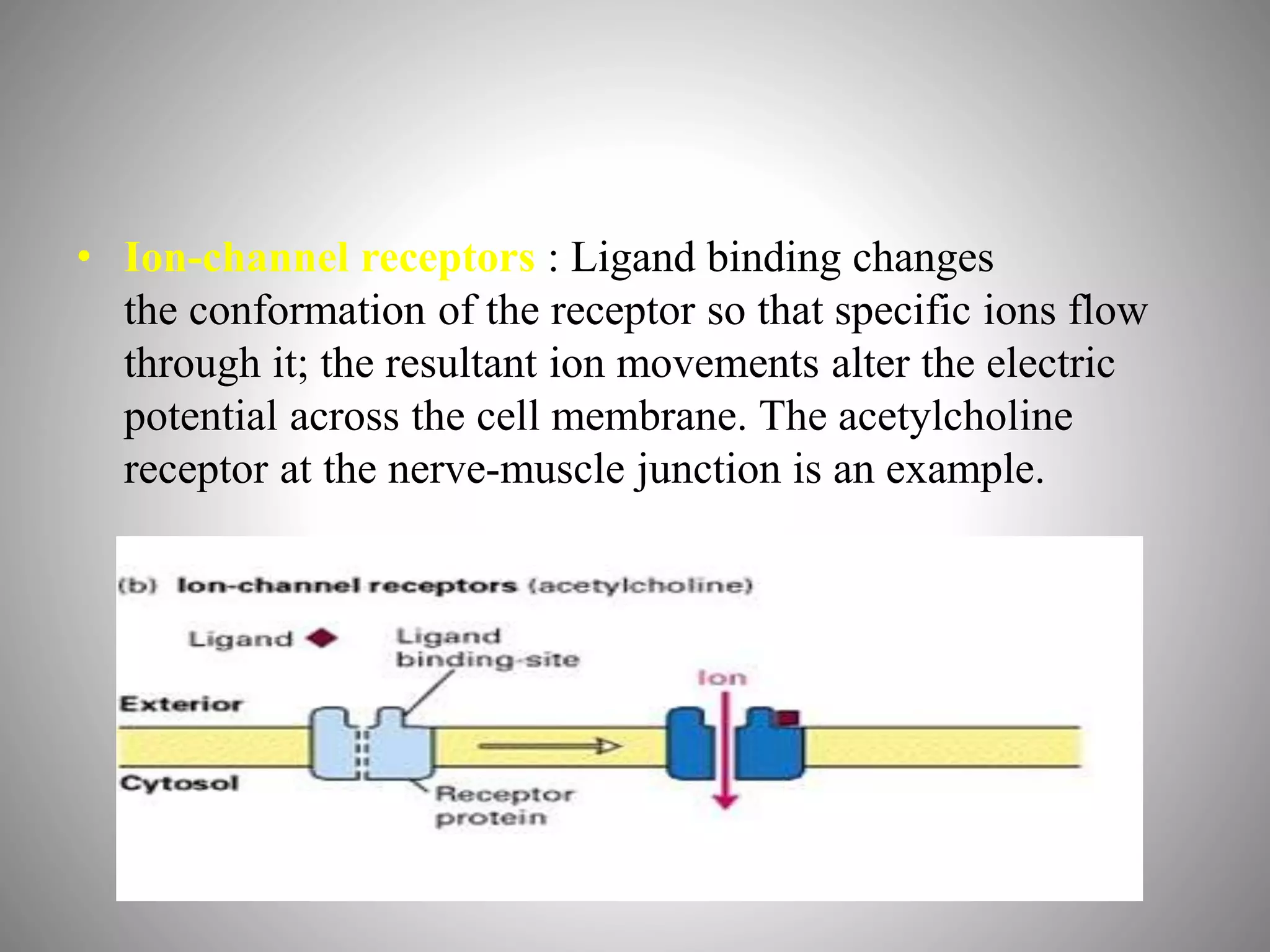 • Ion-channel receptors : Ligand binding changes
the conformation of the receptor so that specific ions flow
through it; the resultant ion movements alter the electric
potential across the cell membrane. The acetylcholine
receptor at the nerve-muscle junction is an example.
 