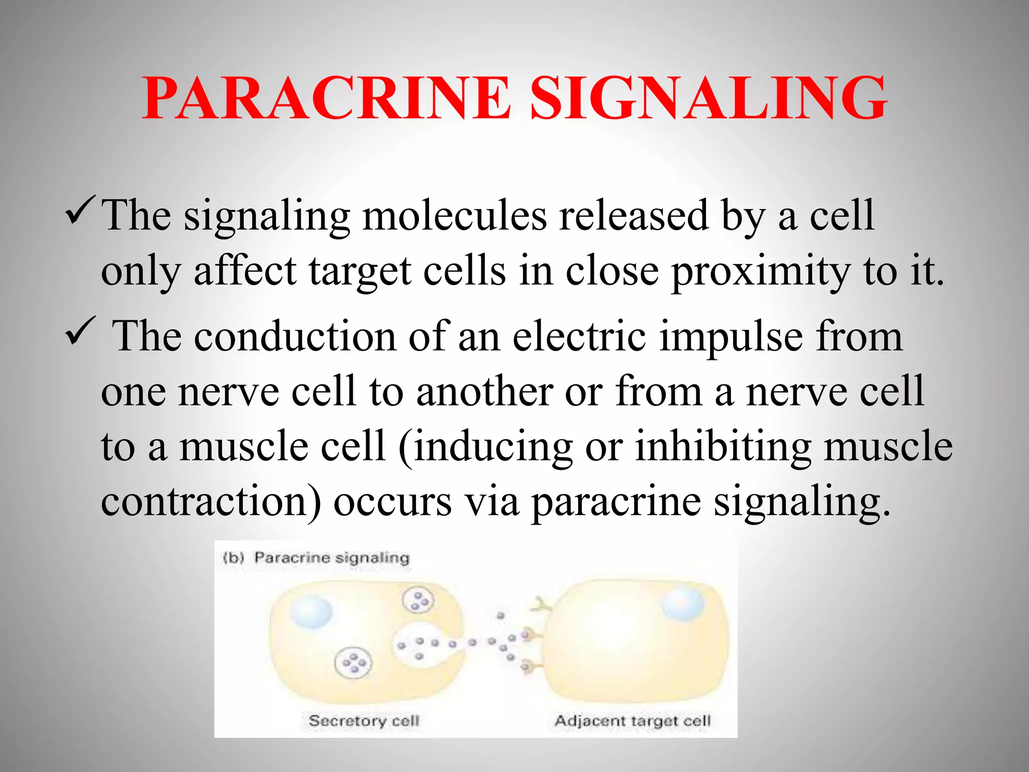 PARACRINE SIGNALING
The signaling molecules released by a cell
only affect target cells in close proximity to it.
 The conduction of an electric impulse from
one nerve cell to another or from a nerve cell
to a muscle cell (inducing or inhibiting muscle
contraction) occurs via paracrine signaling.
 