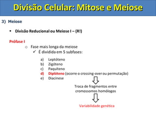 Troca de fragmentos entre
cromossomos homólogos
Variabilidade genética
Divisão Celular: Mitose e MeioseDivisão Celular: Mitose e Meiose
 