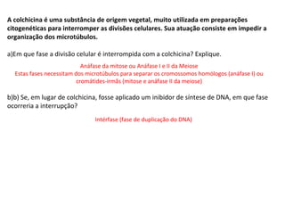 INTERFASE QUE PRECEDE A DIVISÃO
A colchicina é uma substância de origem vegetal, muito utilizada em preparações
citogenéticas para interromper as divisões celulares. Sua atuação consiste em impedir a
organização dos microtúbulos.
a)Em que fase a divisão celular é interrompida com a colchicina? Explique.
b)b) Se, em lugar de colchicina, fosse aplicado um inibidor de síntese de DNA, em que fase
ocorreria a interrupção?
Anáfase da mitose ou Anáfase I e II da Meiose
Estas fases necessitam dos microtúbulos para separar os cromossomos homólogos (anáfase I) ou
cromátides-irmãs (mitose e anáfase II da meiose)
Intérfase (fase de duplicação do DNA)
 