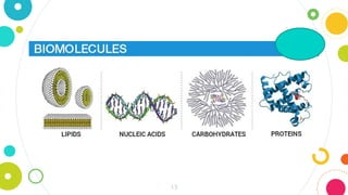 Bio-Molecules-Carbohydrates, Proteins, Lipids.pptx