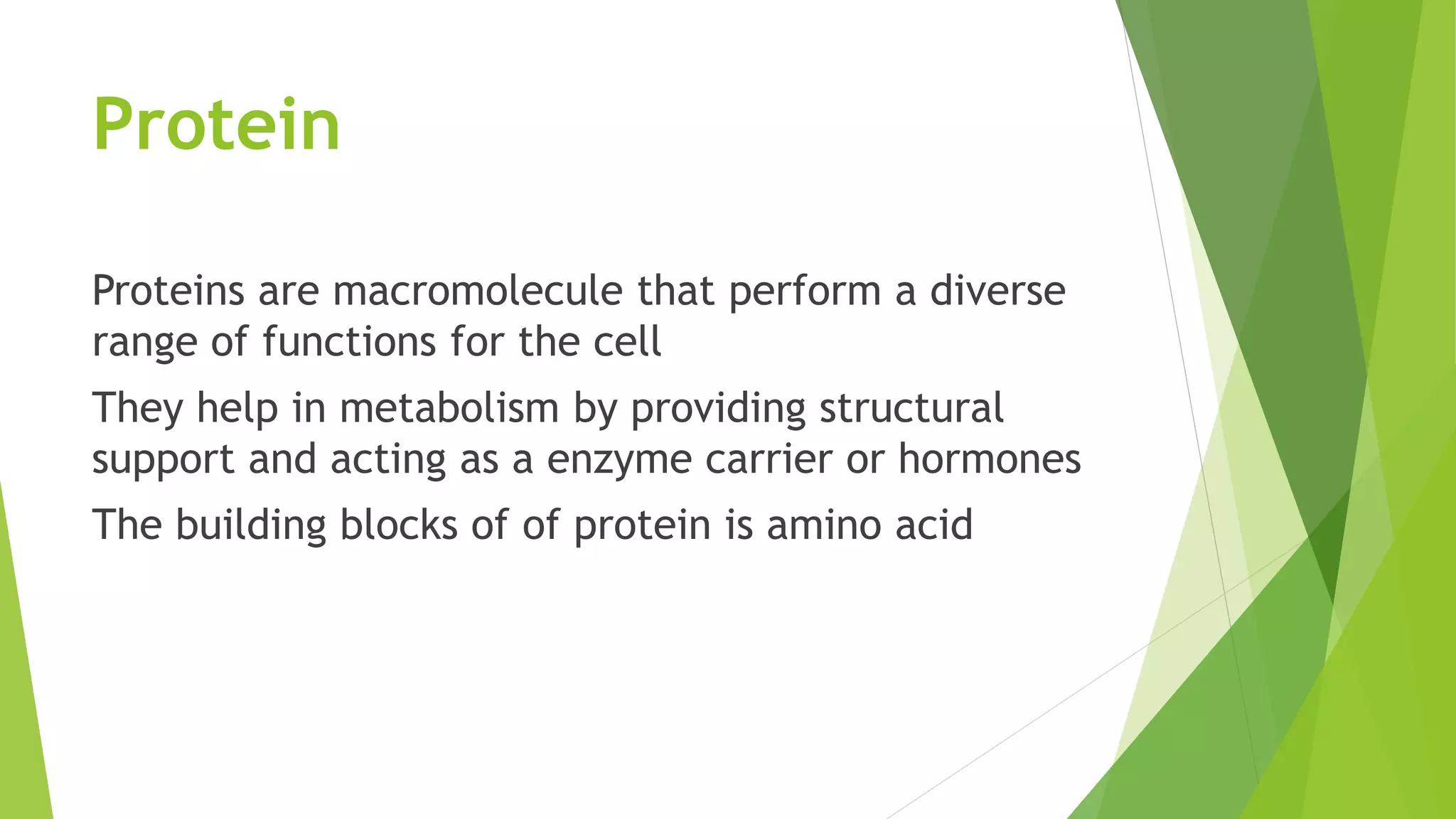 Bio molecules by sohail | PPTX