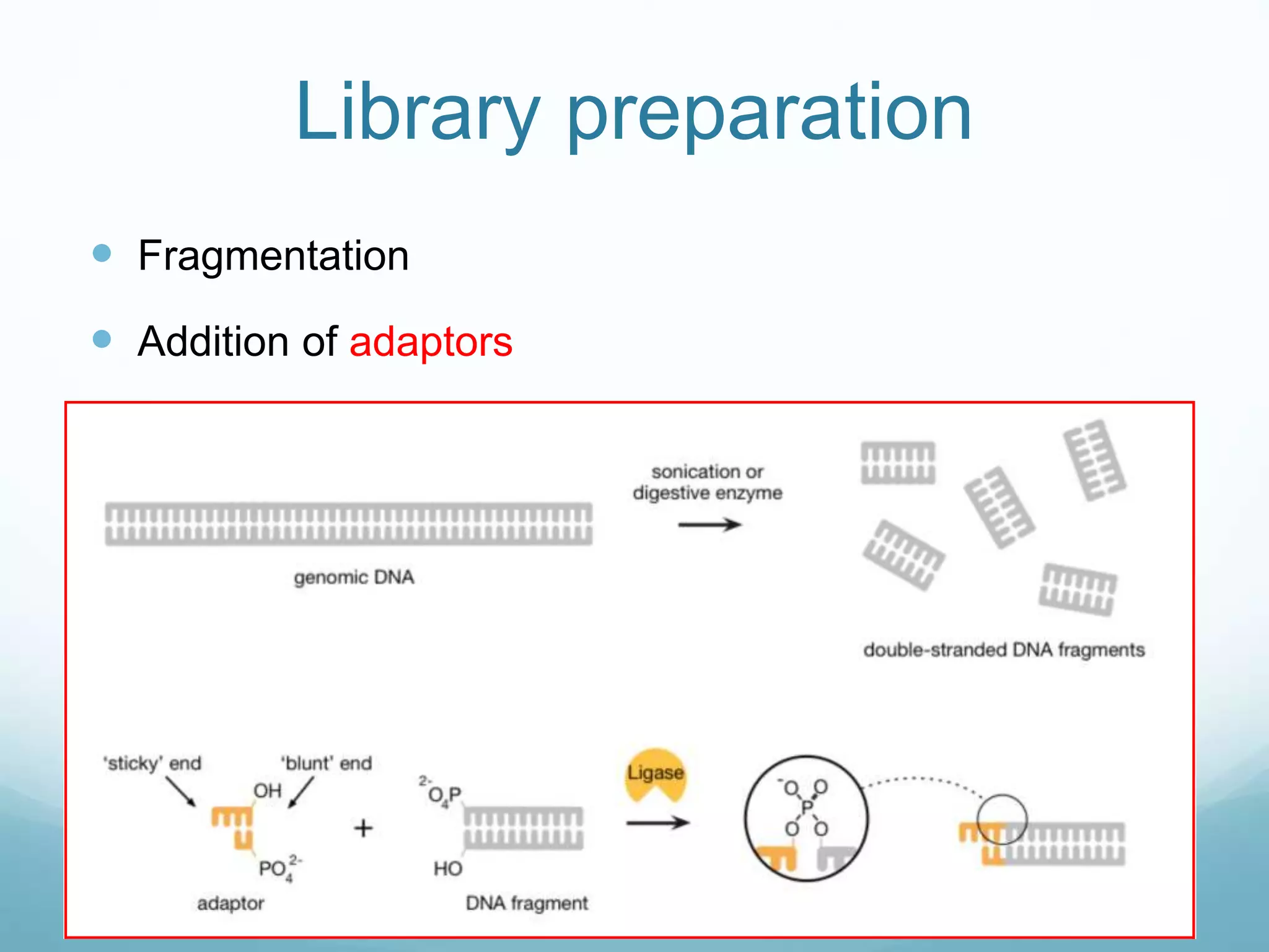 Library preparation
 Fragmentation
 Addition of adaptors
 