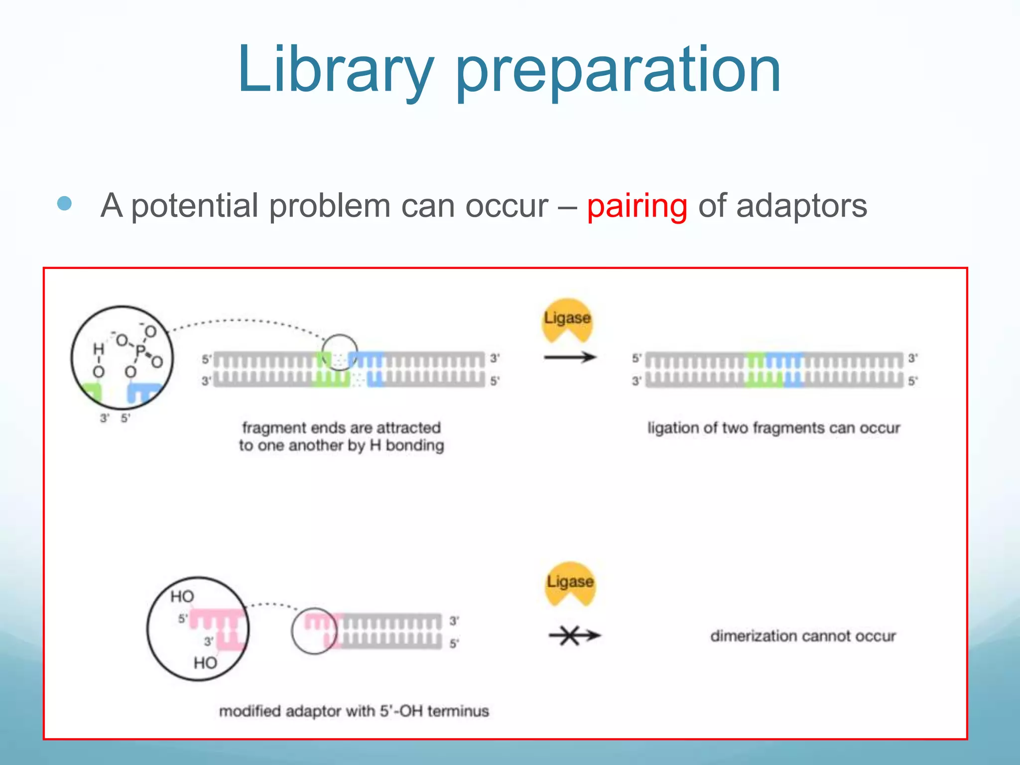 Library preparation
 A potential problem can occur – pairing of adaptors
 