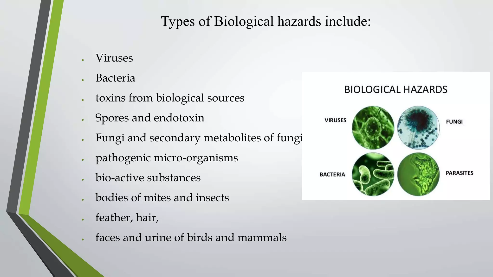 Bio occupational hazards | PDF