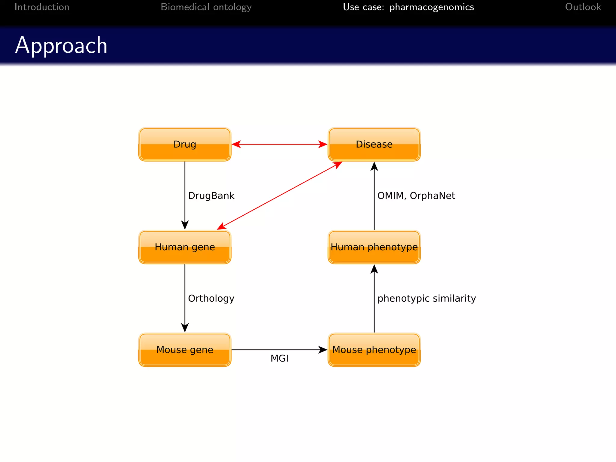 Introduction   Biomedical ontology   Use case: pharmacogenomics   Outlook



Approach
 