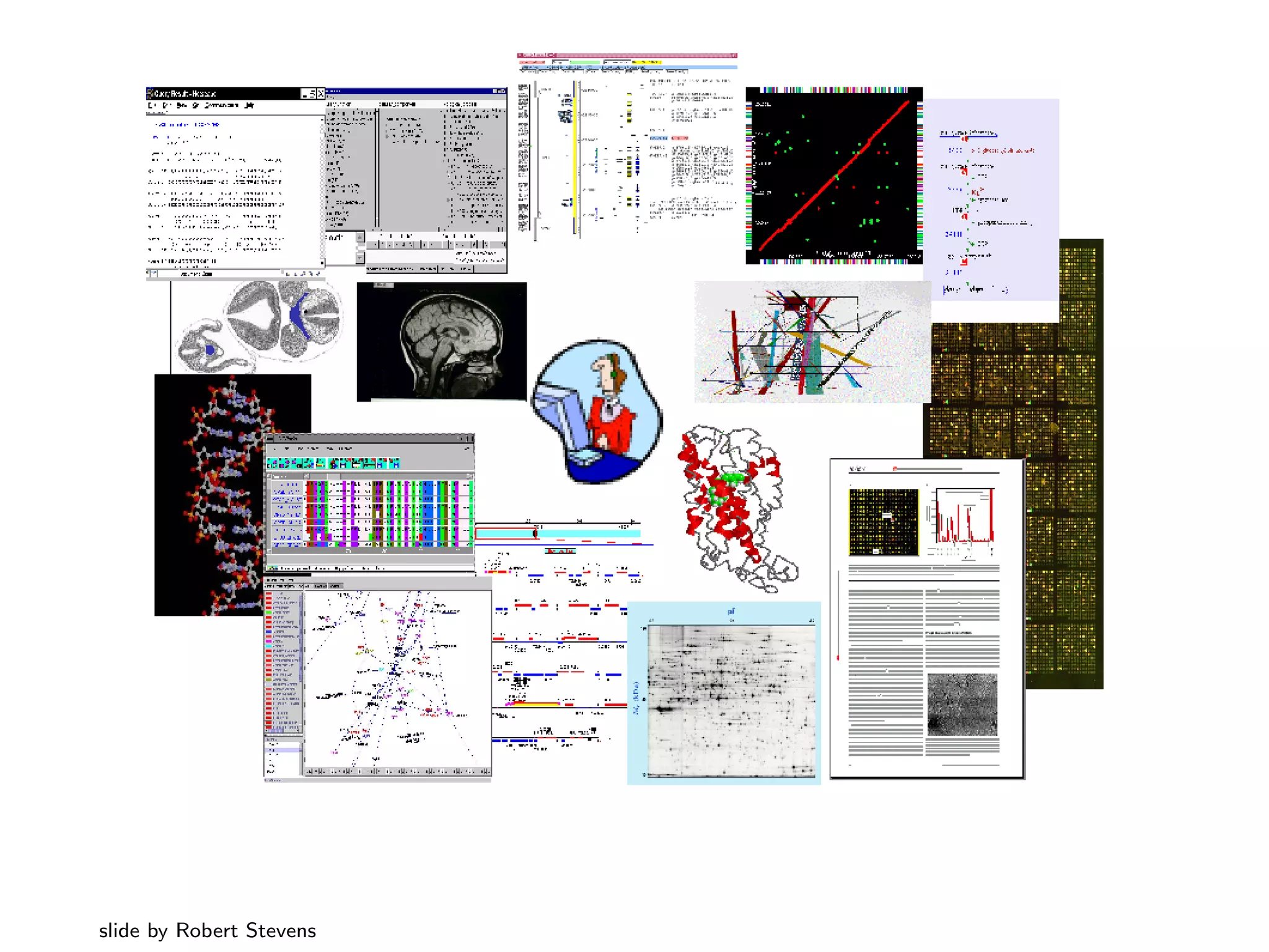 slide by Robert Stevens
 