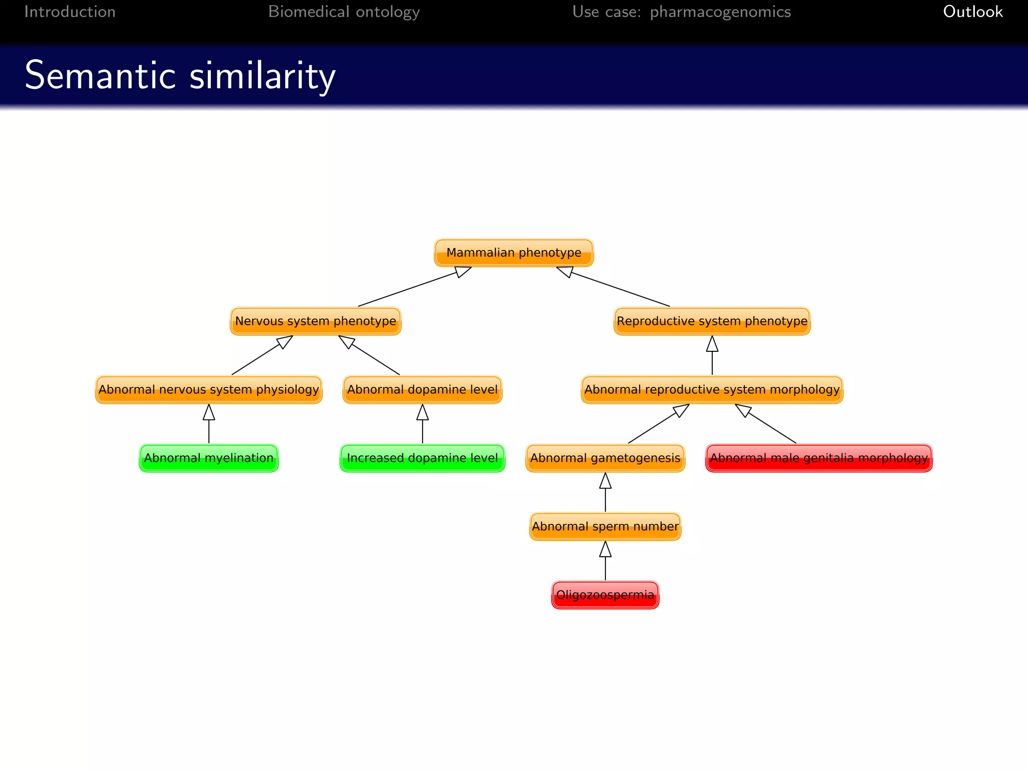 Introduction   Biomedical ontology   Use case: pharmacogenomics   Outlook



Semantic similarity
 