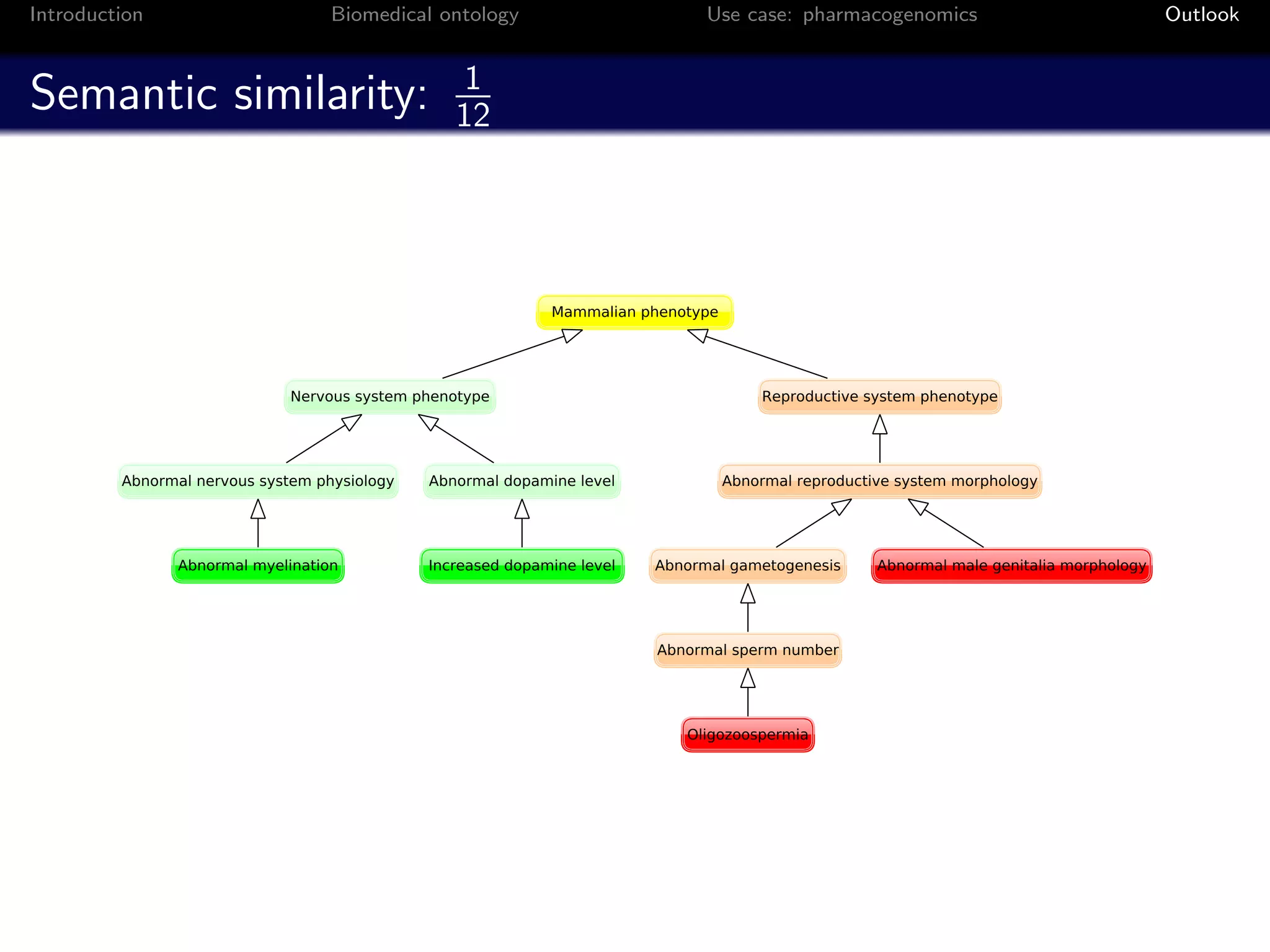 Introduction   Biomedical ontology   Use case: pharmacogenomics   Outlook


                           1
Semantic similarity:       12
 