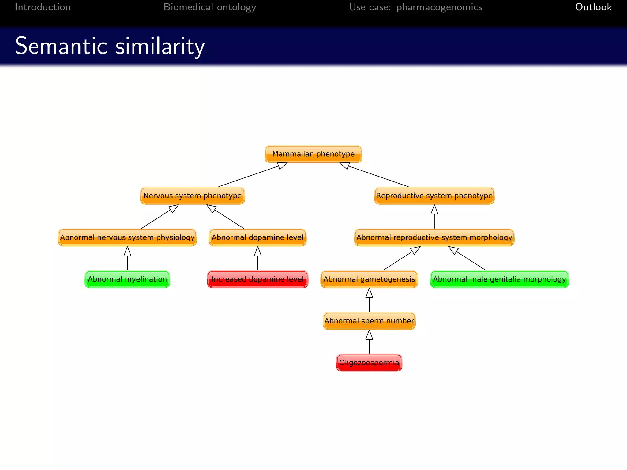Introduction   Biomedical ontology   Use case: pharmacogenomics   Outlook



Semantic similarity
 