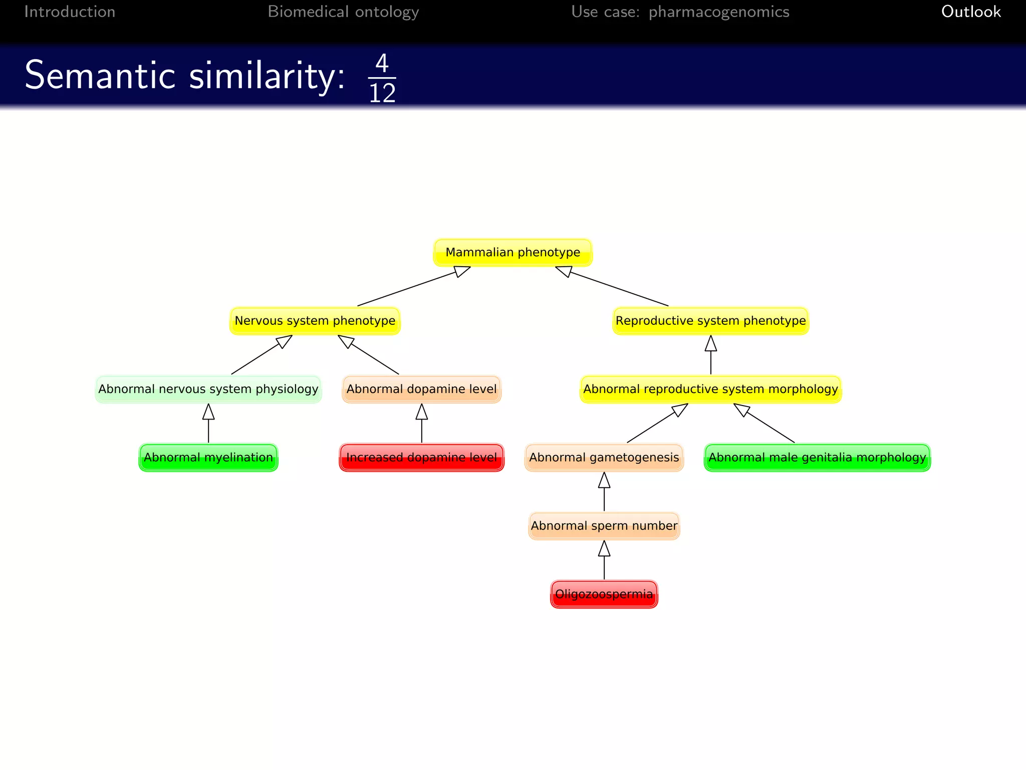 Introduction   Biomedical ontology   Use case: pharmacogenomics   Outlook


                           4
Semantic similarity:       12
 