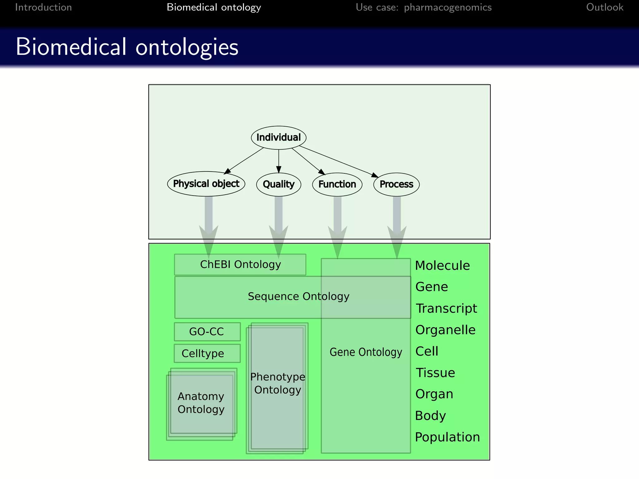 Introduction   Biomedical ontology                     Use case: pharmacogenomics   Outlook



Biomedical ontologies


                                   Individual




                Physical object      Quality    Function   Process




                      ChEBI Ontology                                 Molecule
                                                                     Gene
                                  Sequence Ontology
                                                                     Transcript
                   GO-CC                                             Organelle
                  Celltype                        Gene Ontology      Cell
                                  Phenotype                          Tissue
                                   Ontology                          Organ
                 Anatomy
                 Ontology
                                                                     Body
                                                                     Population
 
