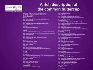A rich description of
the common buttercup
and (hasRegion some
(MarginRegion
and (hasSepalPetalFeature some Entire)
and (h...