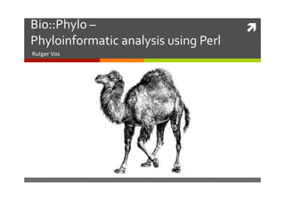Bio::Phylo	
  –	
  	
                                 	
  
Phyloinformatic	
  analysis	
  using	
  Perl 	
  	
  
Rutger	
  Vos	
  
 