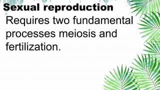 Bio-plant-reproduction-developmeny g -12 | PPTX