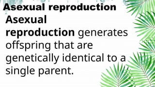 Bio-plant-reproduction-developmeny g -12 | PPTX