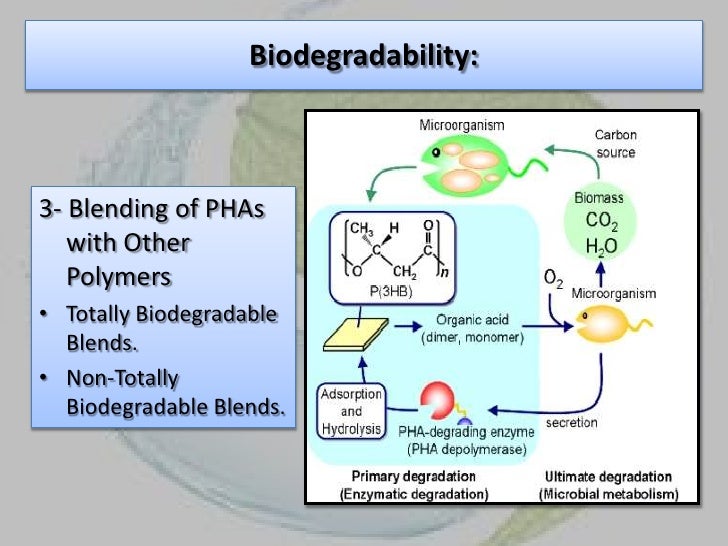 Bio plastic from bacteria.